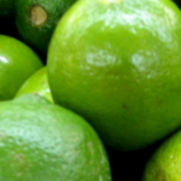  Lime (Sweet Lemon)